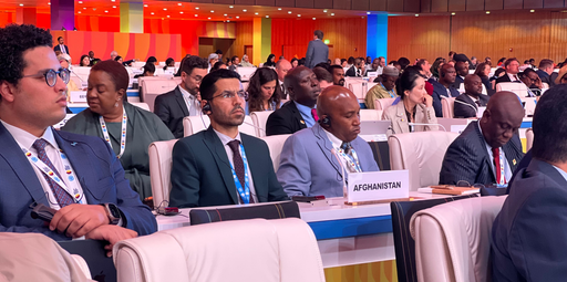 New Thinker Youth Civil Organization 