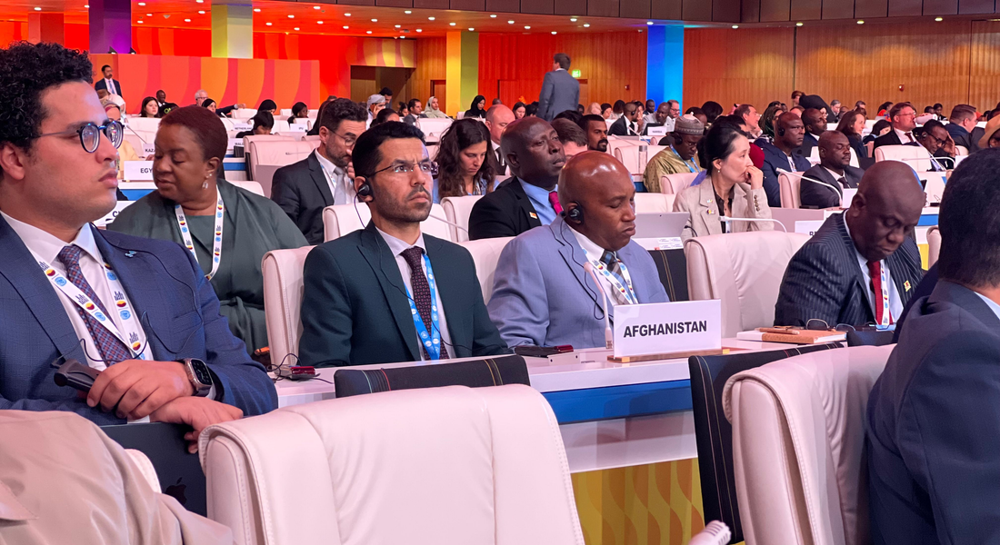 New Thinker Youth Civil Organization 