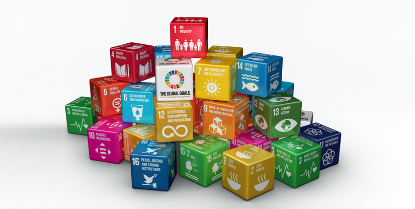 New Thinker Youth Civil Organization