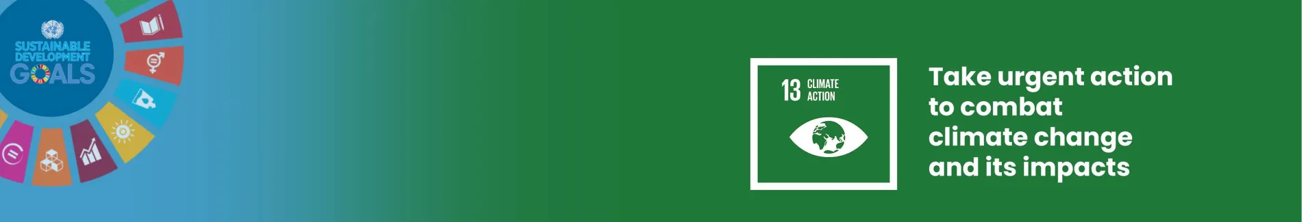 New Thinker Youth Civil Organization