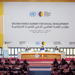 New Thinker Youth Civil Organization 