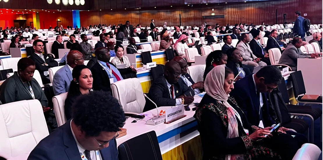 New Thinker Youth Civil Organization 