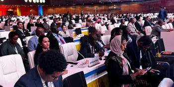 New Thinker Youth Civil Organization 