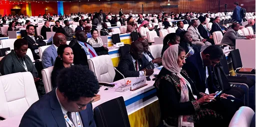 New Thinker Youth Civil Organization 