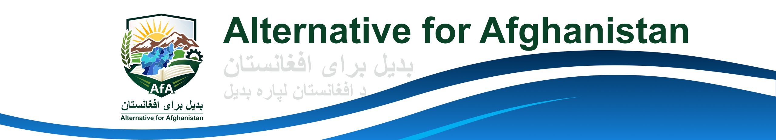 afa web banner