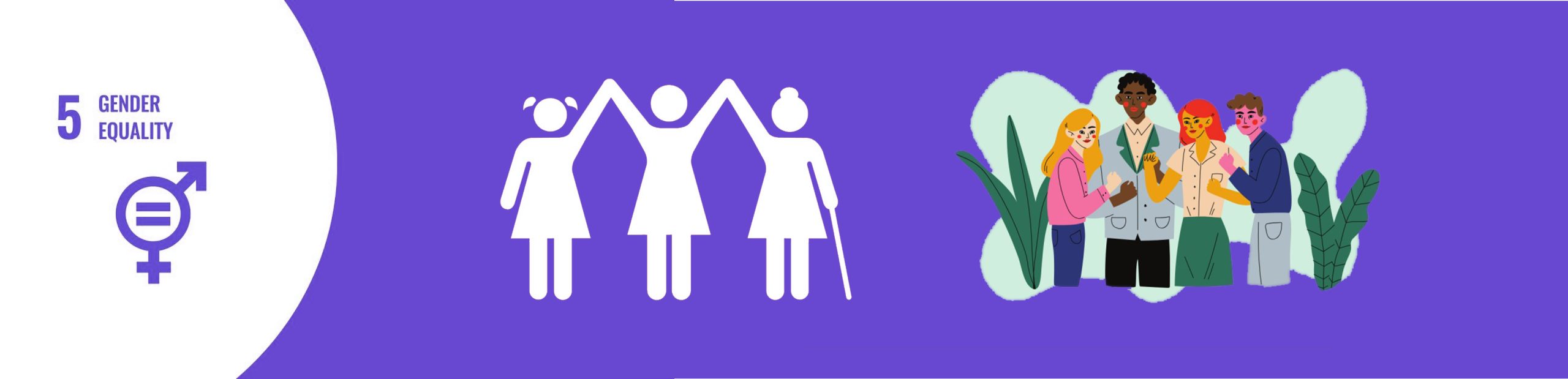 sdg 5